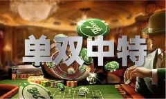    2024年澳宝典大全
